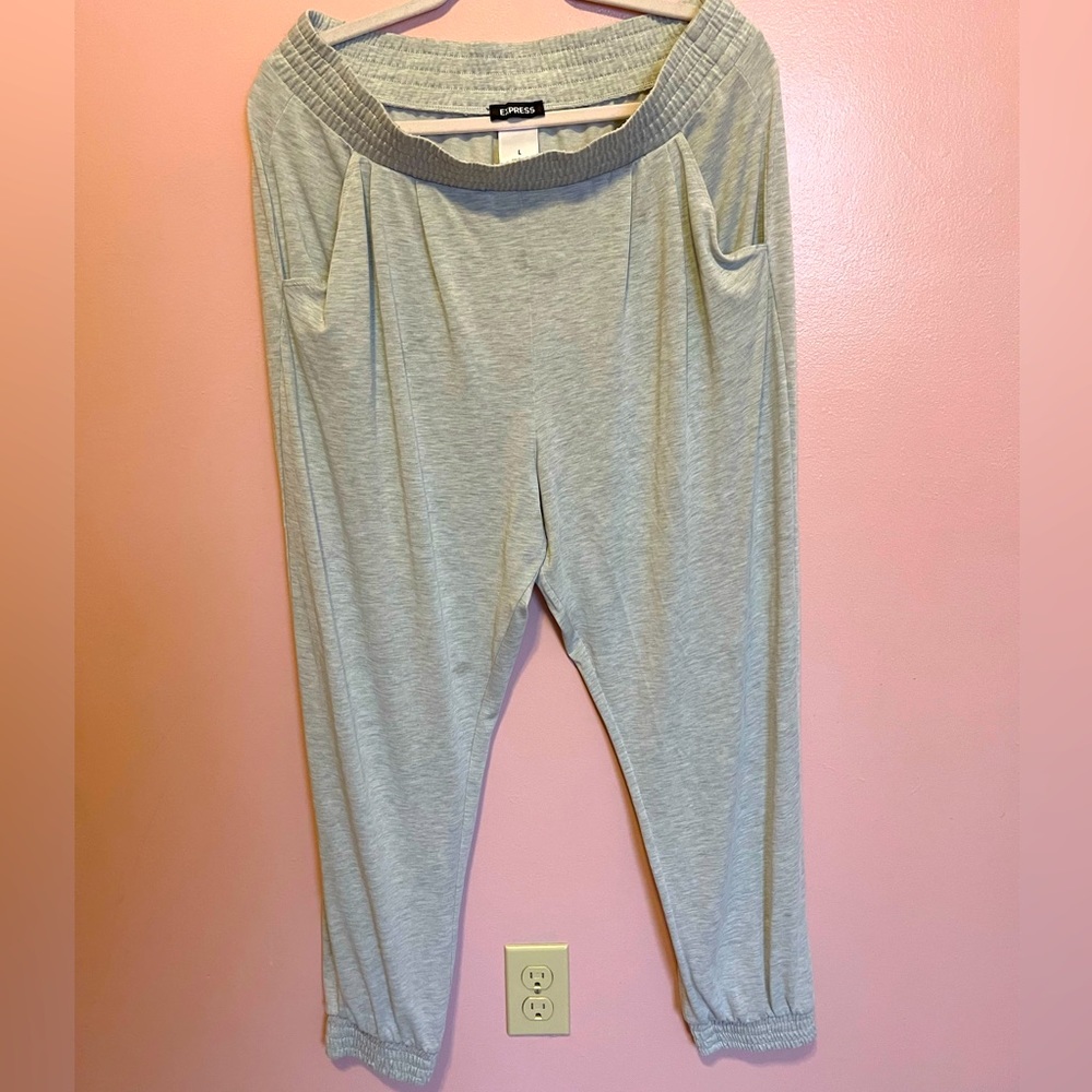 Express Jazzy Jogger Gray Pants, Women Size Large